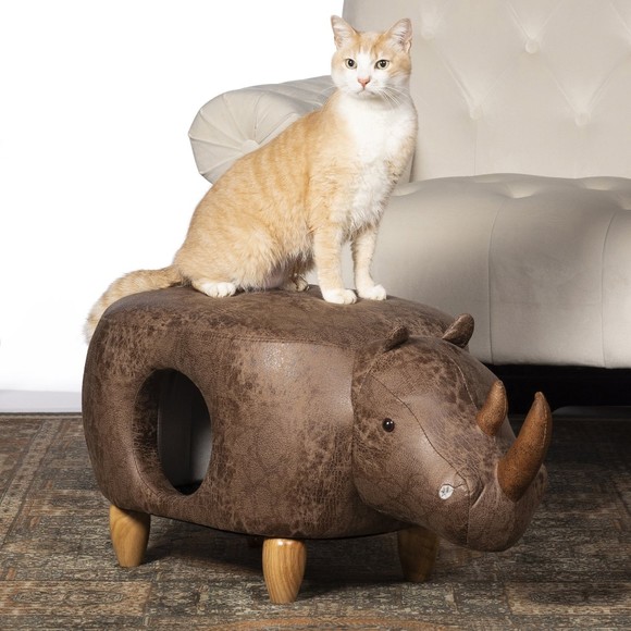 rhinoceroscat